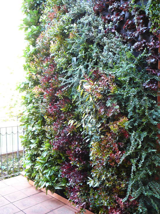 Giardino verticale – Brescia – Casa privata