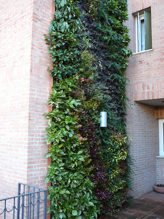 Giardino verticale – Brescia – Casa privata