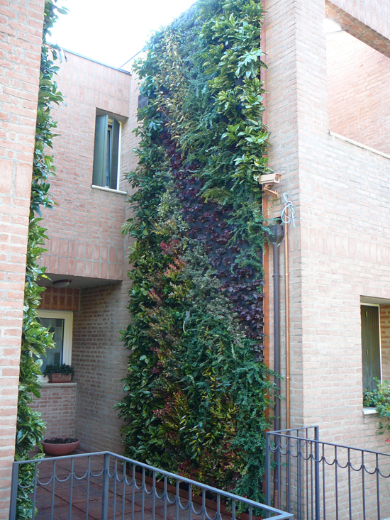 Giardino verticale – Brescia – Casa privata