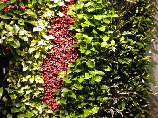 Giardino verticale sede Costa Crociere – Genova