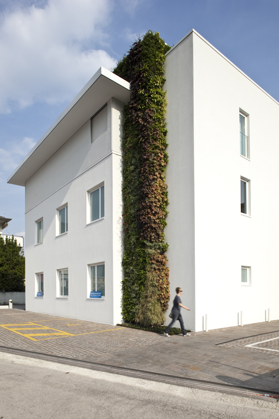 Giardino verticale Centro Salus – Vicenza