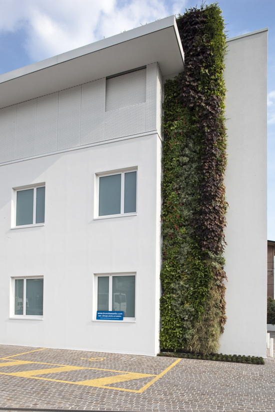 Giardino verticale Centro Salus – Vicenza