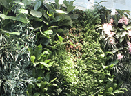 Giardino verticale – RCS Periodici