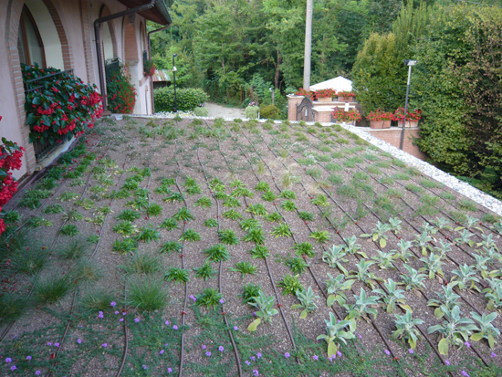 Roof garden in private house – Milan – Italy