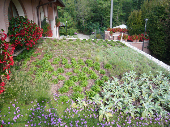 Roof garden in private house – Milan – Italy