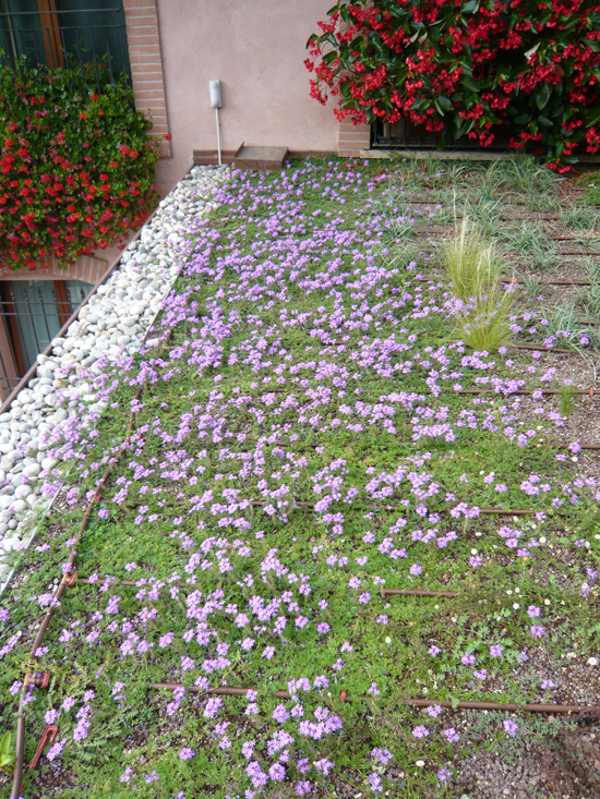 Roof garden in private house – Milan – Italy